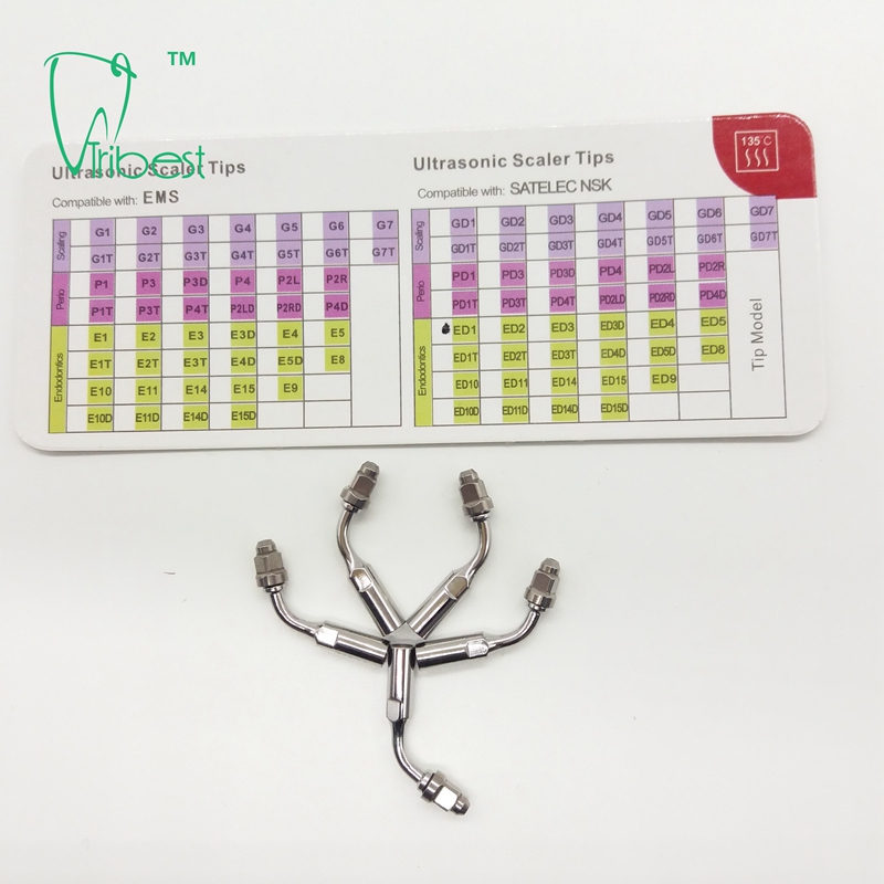 Scaler Tip ED1
