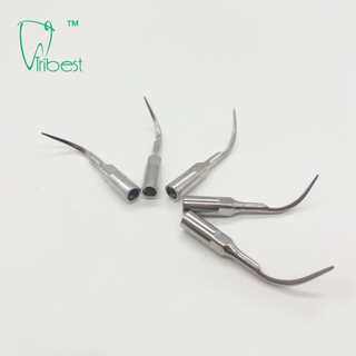 Scaler Tip P1